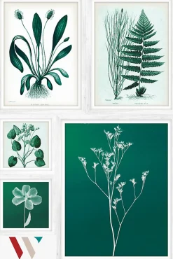 Set 5 tableaux Vinyl Way Dada Art feuilles vert L.90 x l.60 cm