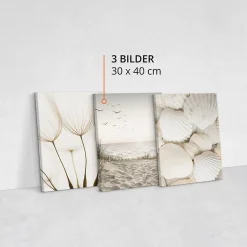 Set De Tableaux Coquilles Mer Pissenlits 90cm x 40cm - Parfait pour décorer votre salon, chambre ou bureau avec un design unique