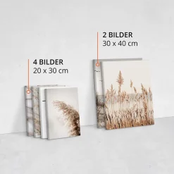 Set De Tableaux Plage Plantes Citation 90cm x 80cm - Parfait pour décorer votre salon, chambre ou bureau avec un design unique et