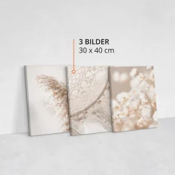 Set De Tableaux Plantes Attrape-Rêves 90cm x 40cm - Parfait pour décorer votre salon, chambre ou bureau avec un design unique et
