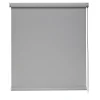 Store enrouleur screen 5% - 90 x 250 grisis clair