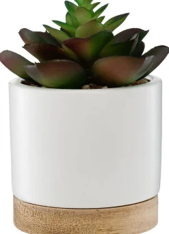 Succulente artificielle - pot en céramique - H12 cm - Vert clair- Atmosphera
