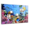 Tableau Aimanté Tulup 90x60 cm La vie sous-marine En Verre Pour Cuisine