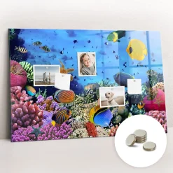 Tableau Aimanté Tulup 90x60 cm La vie sous-marine En Verre Pour Cuisine