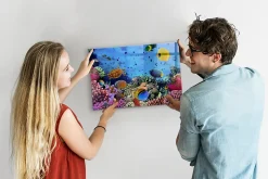Tableau Aimanté Tulup 60x40 cm La vie sous-marine En Verre Pour Cuisine
