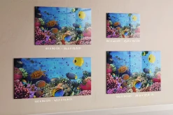 Tableau Aimanté Tulup 60x40 cm La vie sous-marine En Verre Pour Cuisine