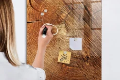 Tableau Aimanté Wallfluent 60x90 cm Coupe transversale du tronc Marqueur blanc En Verre Pour Cuisine