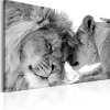 Tableau déco Lion's Love 60x40 cm