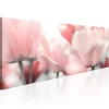 Tableau Fleurs Pink Tulips 150x50 cm