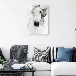 Tableau sur toile cheval blanc l.55 x H.75 cm Dada Art