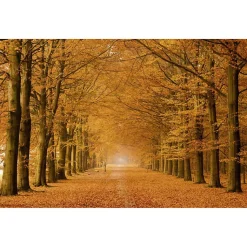 Tableau toile en kit ALLEE CAVALIERE 140 x 95 cm - Toile textile sans PVC, Made in France par Scenolia
