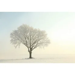 Tableau toile en kit CHENE BLANC 140 x 95 cm - Toile textile sans PVC, Made in France par Scenolia