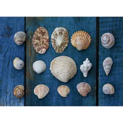 Tableau toile en kit COLLECTION DE COQUILLAGES 180 x 130 cm - Toile textile sans PVC, Made in France par Scenolia