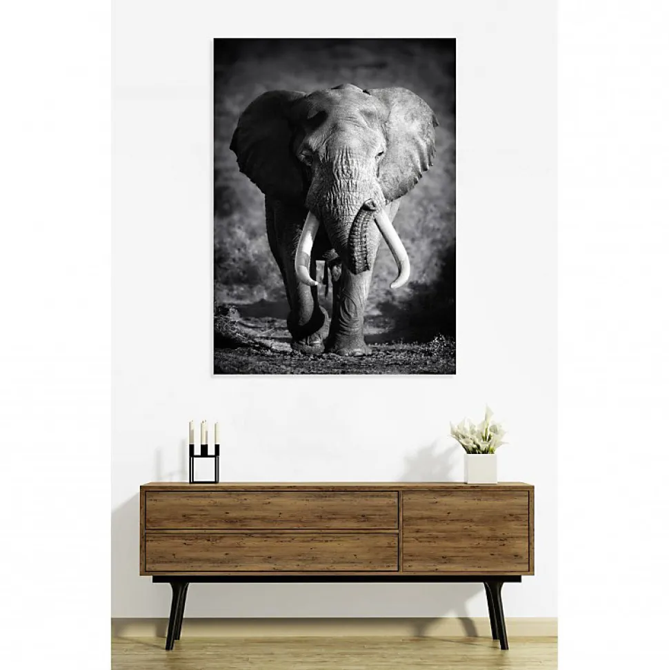 Tableau toile XXL en kit Éléphant Solitaire 130 x 180 cm - Toile textile sans PVC