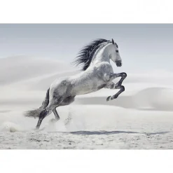 Tableau toile XXL en kit Cheval Dans Le Désert 130 x 90 cm - Toile textile sans PVC