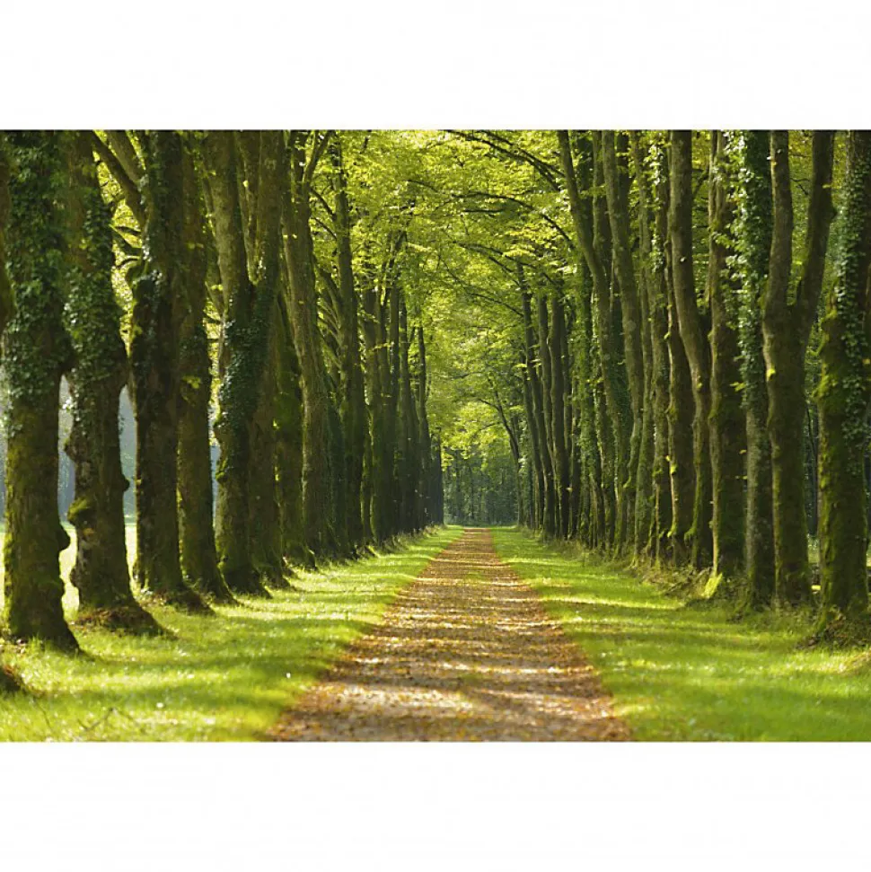 Tableau toile XXL en kit Un Dimanche À La Campagne 60 x 40 cm - Toile textile sans PVC