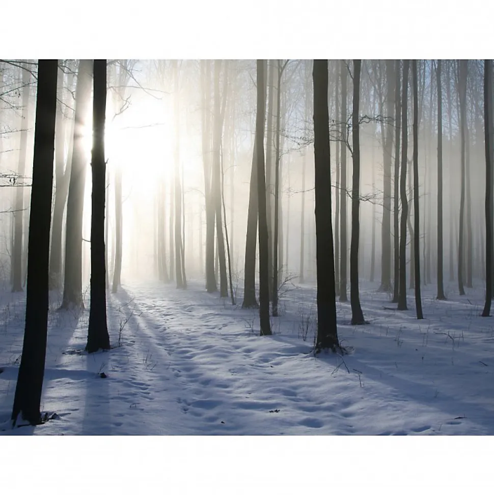 Tableau toile XXL en kit Foret D'Hiver 180 x 130 cm - Toile textile sans PVC