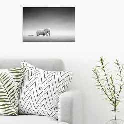 Tableau toile XXL en kit Zèbre Et Éléphant 60 x 40 cm - Toile textile sans PVC
