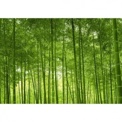 Tableau toile XXL en kit Foret De Bambous 90 x 60 cm - Toile textile sans PVC