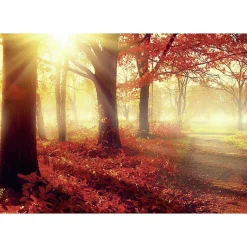 Tableau toile XXL en kit Soleil D'Automne 130 x 90 cm - Toile textile sans PVC