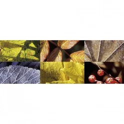 Tableau toile XXL en kit Automn 180 x 60 cm - Toile textile sans PVC