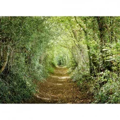 Tableau toile XXL en kit Chemin Vert 130 x 90 cm - Toile textile sans PVC