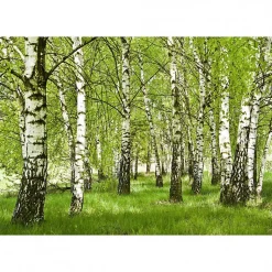 Tableau toile XXL en kit Foret De Bouleau 130 x 90 cm - Toile textile sans PVC