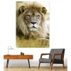 Tableau toile XXL en kit Lion 130 x 180 cm - Toile textile sans PVC
