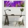 Tableau verre acrylique Messagere 130 x 40 cm - Décoration murale photo pour la maison