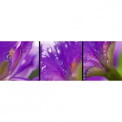 Tableau verre acrylique Messagere 130 x 40 cm - Décoration murale photo pour la maison