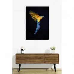 Tableau verre acrylique Vol De Perroquet 90 x 130 cm - Décoration murale photo pour la maison