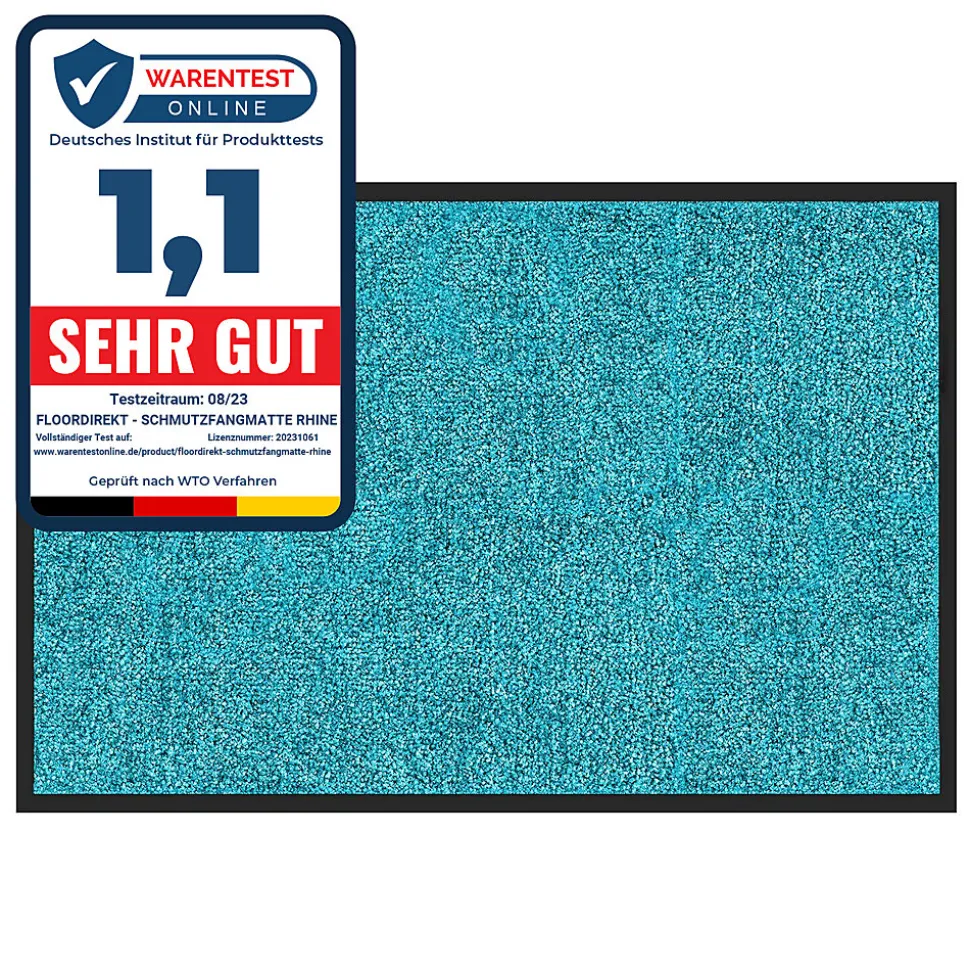Tapis de Porte Paillasson d'entrée Rhine Turquoise 40 x 60 cm