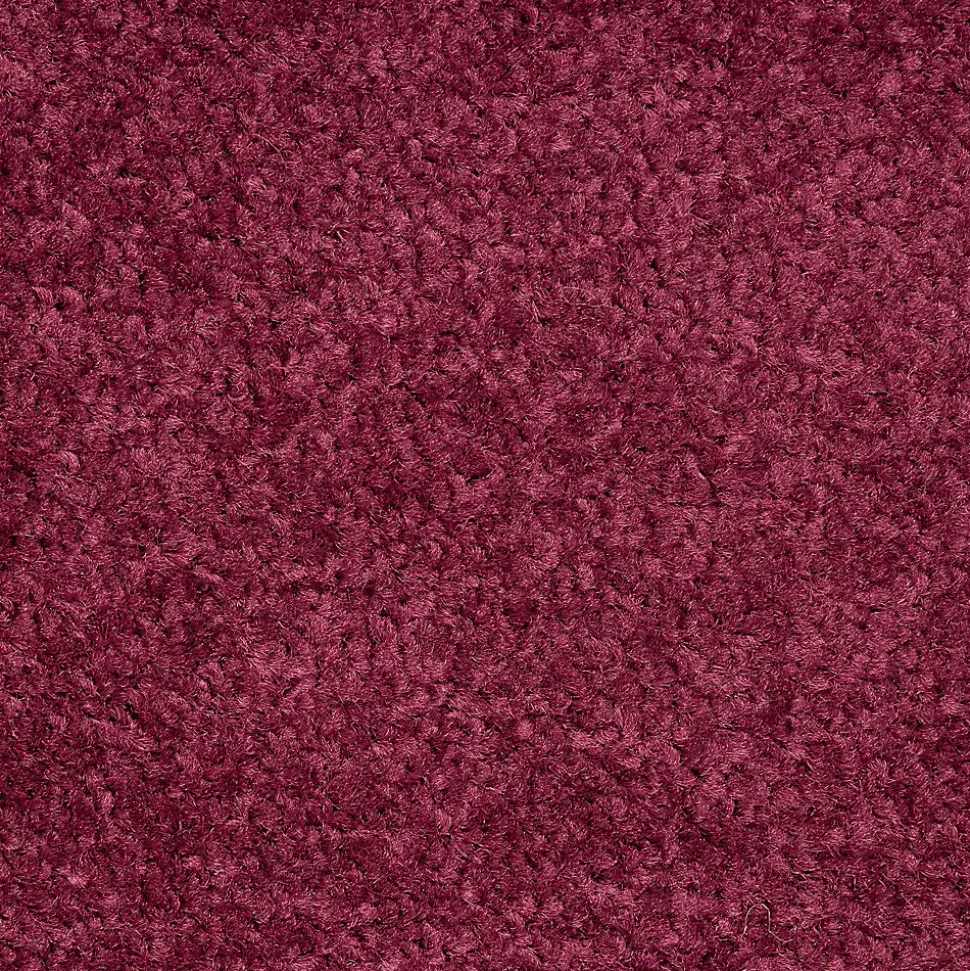Tapis de Porte Paillasson d'entrée Performa, Violet, 120 x 180 cm - Floordirekt