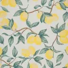 Tapis d'extérieur Capu palm citron l.160 x L.230 cm