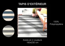 Tapis d'extérieur tissé à rayures bleu et blanc L.230 x l.160 cm, Dylrev