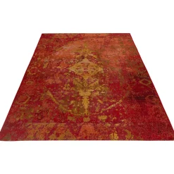 Tapis d'intérieur et extérieur ethnique Erika 230x160 CM - Rouge