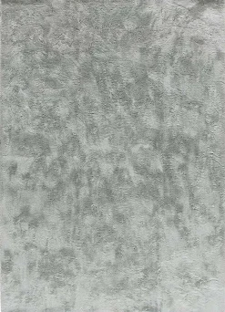 Tapis intérieur ATTICGO argent rectangulaire shaggy uni 140x200 cm ROMA