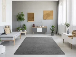 Tapis intérieur ATTICGO gris rectangulaire uni 120x170 cm MONTANA
