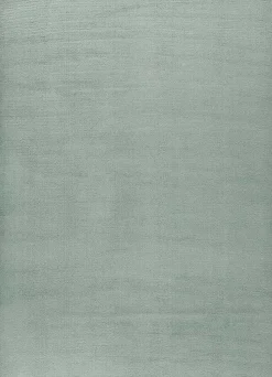 Tapis lavable antidérapant ATTICGO vert rectangulaire uni 200x290 cm LOFT