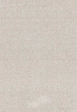 Tapis moderne uni anti-salissures, Beige, 240 x 340 cm - NATAL