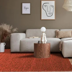 Tapis poils longs shaggy tissé motif uni UNI L, Terra