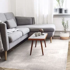 Tapis salon à poils longs extra-doux écru 60x90