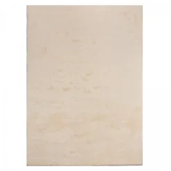 Tapis salon LYN10 LAVABLE, soft et soyeux, tapis uni à l'aspect Shaggy, beige