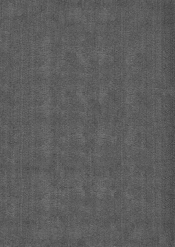 Tapis uni antidérapant lavable Anthracite - 300 x 400 cm - RELAX
