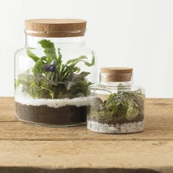 Terrarium - verre - H21 cm - Atmosphera