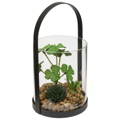 Terrarium Wilo 11x10cm- Vert trèfle- Atmosphera