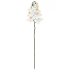 Tige d'orchidée artificielle Gisele H95cm- Blanc- Atmosphera