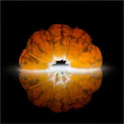 Tirage encadré sur verre synthétique mandarine 90x90 cm Fabriqué en France