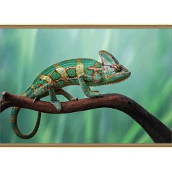 Tirage encadré sur verre synthétique chameleon 90x60 cm Fabriqué en France