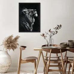Toile encadrée tigre de profil noir et blanc, brillant, cadre noir 50 x 70cm Dada Art